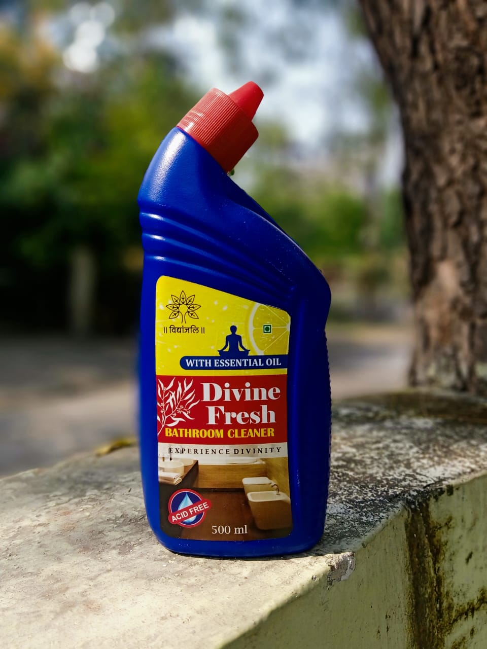 Divine Fresh - Bathroom Cleaner 500 ML