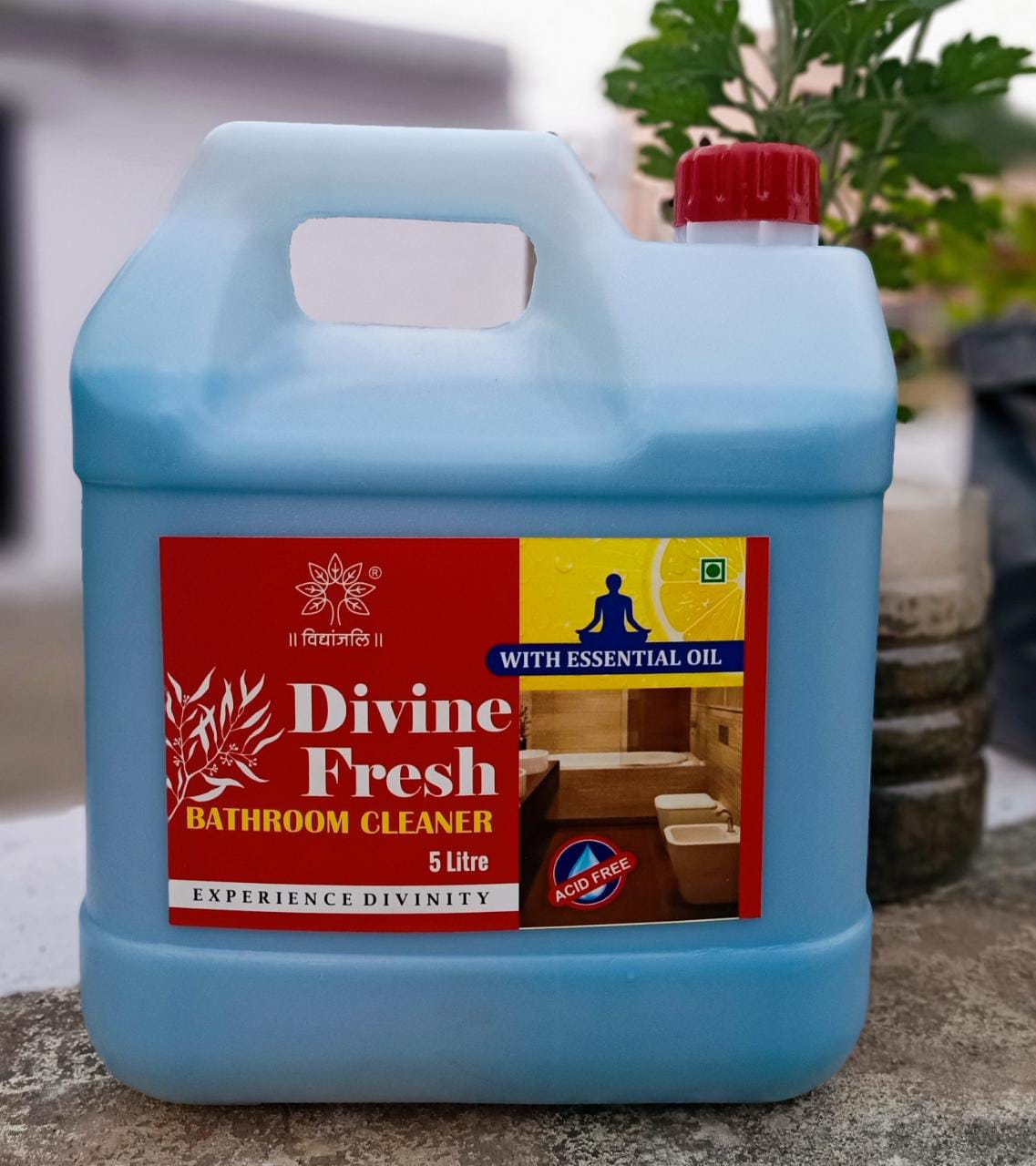 Divine Fresh - Bathroom Cleaner 5 L